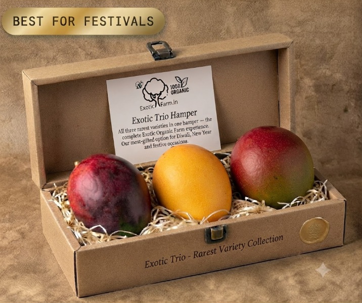 Exotic Trio Hamper with Miyazaki, R2E2 and Red Palmer mango, premium corporate gift from Exotic Organic Farm