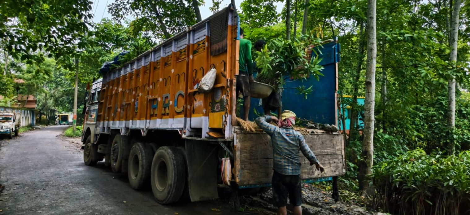 Saplings being carefully loaded for pan-India dispatch from Exotic Organic Farm, Coimbatore